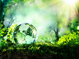 Crystal ball on forest floor